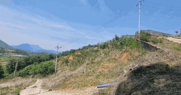 경상북도 문경시 마성면 모곡리 산76-3 전 경매 물건 이미지