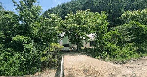 경상북도 문경시 마성면 모곡리 537-1 하천 경매 물건 이미지