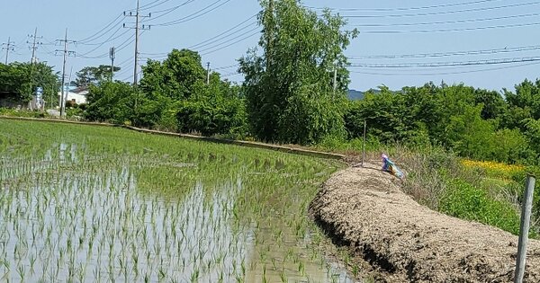 경상북도 예천군 용궁면 읍부리 421-2 대지 경매 물건 이미지