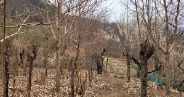 대구광역시 달성군 가창면 우록리 737 답 경매 물건 이미지