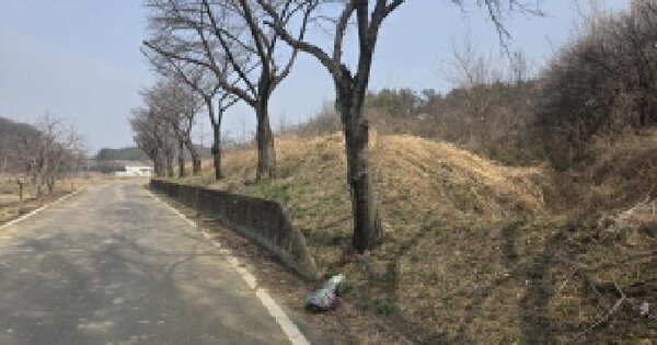 대구광역시 달성군 다사읍 문양리 792-1 답 경매 물건 이미지