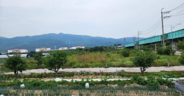 경상남도 양산시 물금읍 증산리 796-9 답 경매 물건 이미지