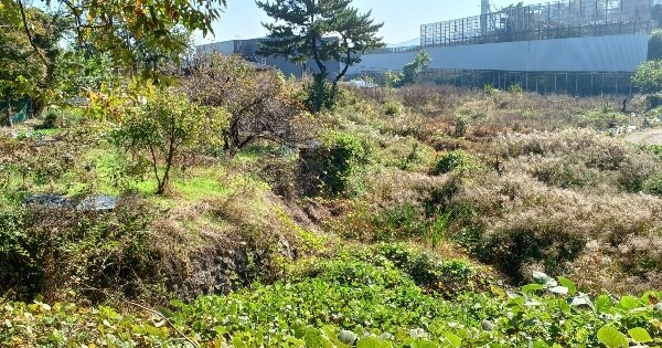 울산광역시 울주군 삼남읍 가천리 산186-9 임야 경매 물건 이미지