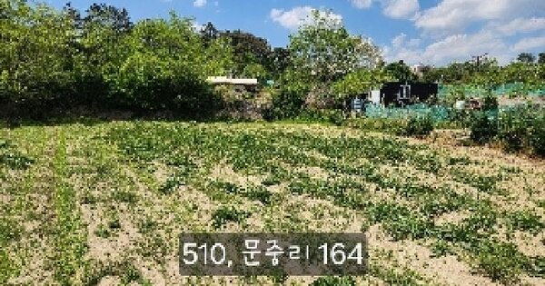 부산광역시 기장군 일광읍 문중리 164-1 답 경매 물건 이미지