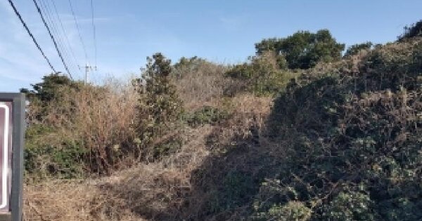 제주특별자치도 제주시 구좌읍 종달리 1418 임야 경매 물건 이미지