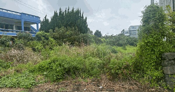 제주특별자치도 서귀포시 남원읍 위미리 1768-2 전 경매 물건 이미지
