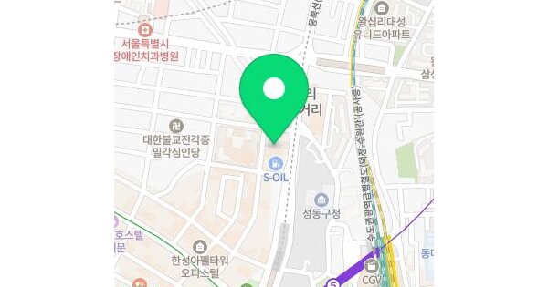서울특별시 성동구 도선동 2 왕십리역요진와이하우스  16층1602호 미지정 경매 물건 이미지