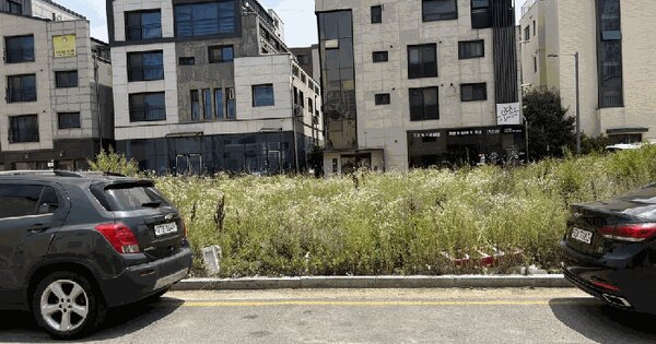경기도 평택시 고덕동 2186-3  미지정 경매 물건 이미지
