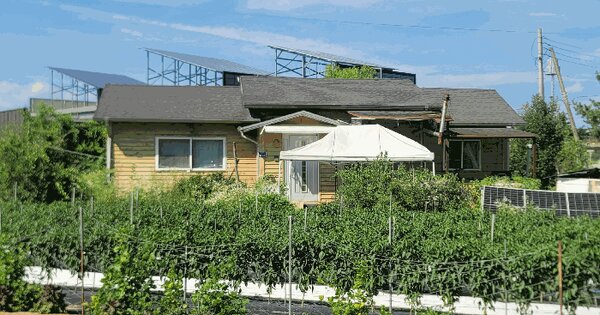 경기도 안성시 공도읍 신두리 60-6  미지정 경매 물건 이미지