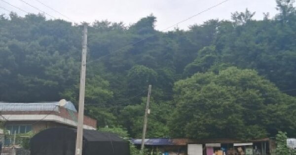 강원특별자치도 춘천시 동면 만천리 산104-23  미지정 경매 물건 이미지