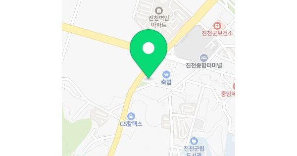 충청북도 진천군 진천읍 벽암리 185-4 주1 미지정 경매 물건 이미지