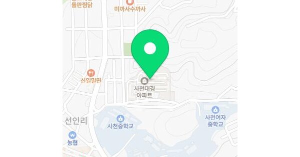 경상남도 사천시 사천읍 선인리 213 대경아파트 103동 2층206호 미지정 경매 물건 이미지