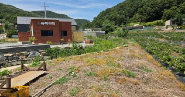 충청남도 아산시 송악면 동화리 686  미지정 경매 물건 이미지