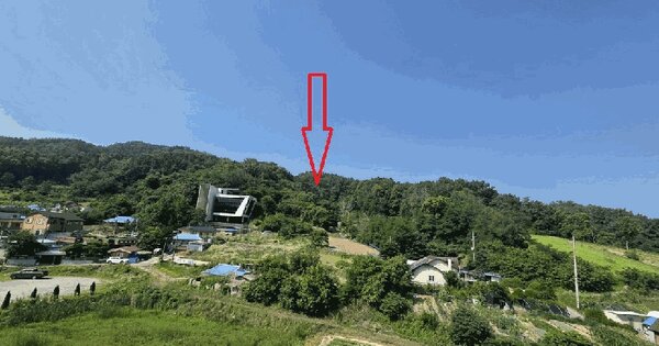 세종특별자치시  금남면 호탄리 산25  미지정 경매 물건 이미지