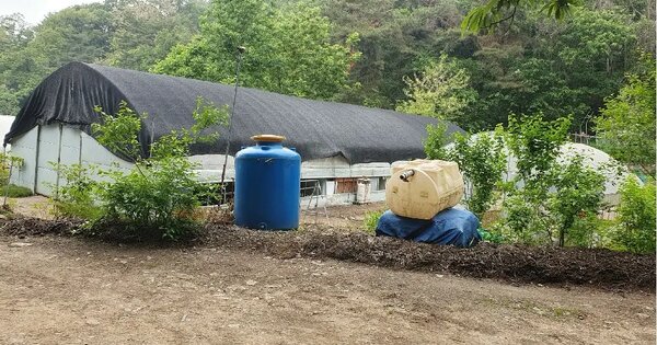 경기도 과천시 문원동 산84 전 경매 물건 이미지