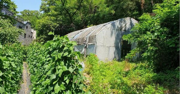 경기도 과천시 문원동 산87 임야 경매 물건 이미지