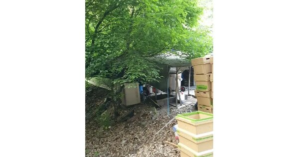 경기도 과천시 문원동 산70 임야 경매 물건 이미지