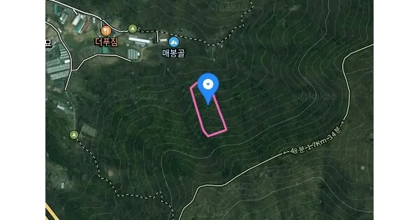 경기도 과천시 문원동 산72-2 임야 경매 물건 이미지
