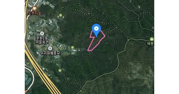 경기도 과천시 문원동 산59 임야 경매 물건 이미지
