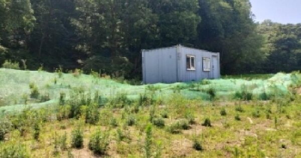 경기도 용인시 수지구 신봉동 619 답 경매 물건 이미지