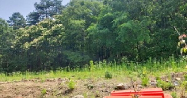 경기도 용인시 수지구 신봉동 621 답 경매 물건 이미지
