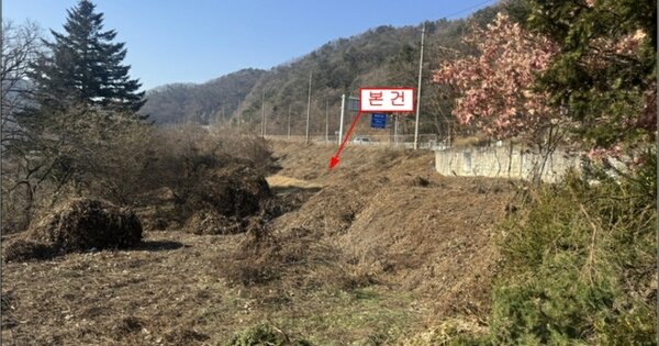 경기도 양평군 용문면 삼성리 252-1 전 경매 물건 이미지