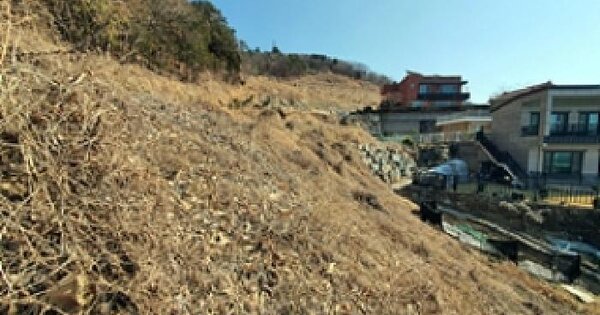 경상남도 창원시 진해구 청안동 371 답 경매 물건 이미지