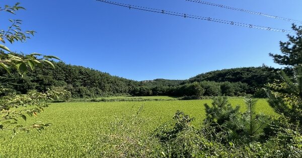 충청남도 태안군 안면읍 중장리 765-50 전 경매 물건 이미지