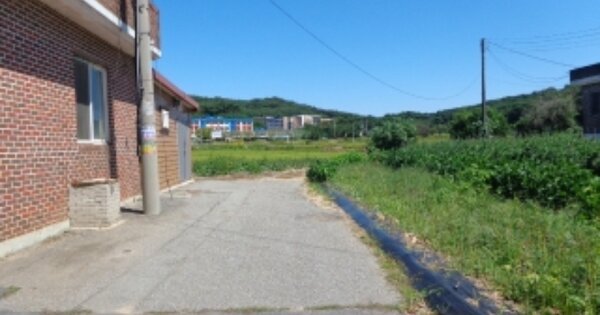 충청남도 태안군 안면읍 승언리 341-143 답 경매 물건 이미지