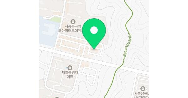 경기도 시흥시 장현동 618-2  미지정 경매 물건 이미지