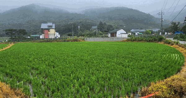 충청남도 예산군 덕산면 옥계리 335  미지정 경매 물건 이미지