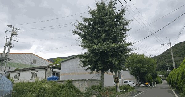 경상남도 밀양시 하남읍 남전리 767-1  미지정 경매 물건 이미지