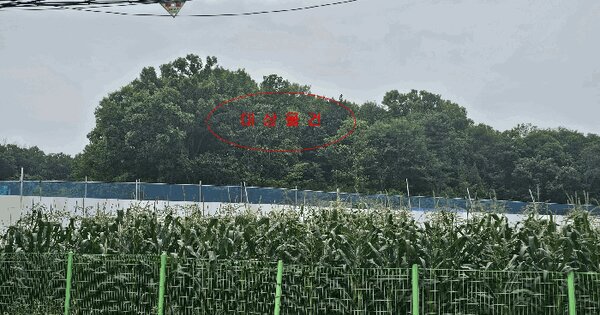 경기도 성남시 수정구 시흥동 271-15  미지정 경매 물건 이미지
