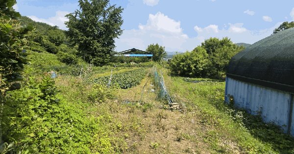 경상남도 함안군 산인면 입곡리 353-1  미지정 경매 물건 이미지