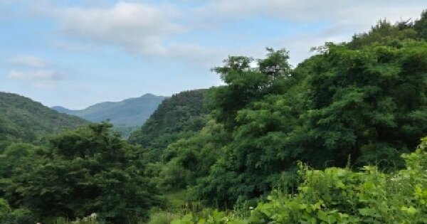 경상북도 경주시 문무대왕면 범곡리 192  미지정 경매 물건 이미지