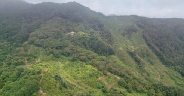 경상남도 함양군 병곡면 연덕리 산44-1  미지정 경매 물건 이미지
