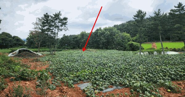 충청남도 서산시 대산읍 대산리 1272-30  미지정 경매 물건 이미지