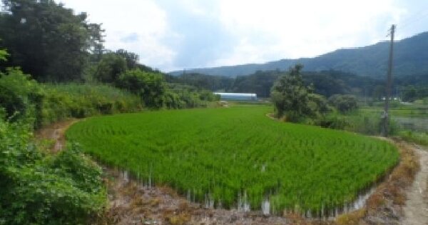 전북특별자치도 임실군 오수면 주천리 935-4  미지정 경매 물건 이미지