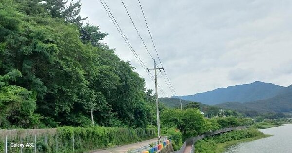 경상남도 고성군 대가면 유흥리 산84-3  미지정 경매 물건 이미지