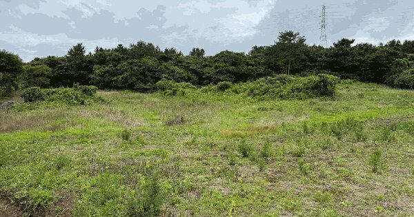제주특별자치도 제주시 조천읍 와산리 3-6  미지정 경매 물건 이미지