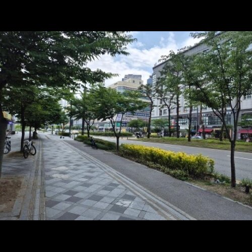물건 사진