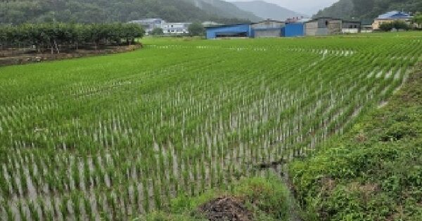 경상남도 창원시 의창구 북면 무곡리 419-1  미지정 경매 물건 이미지