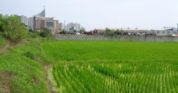 전북특별자치도 전주시 완산구 삼천동2가 334  미지정 경매 물건 이미지
