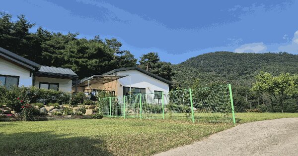 경상북도 경주시 효현동 664-5  미지정 경매 물건 이미지