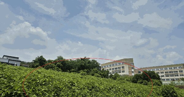 울산광역시 북구 산하동 1012-3  미지정 경매 물건 이미지