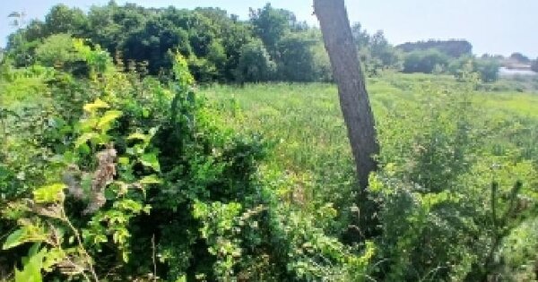 전북특별자치도 익산시 신용동 80-11  미지정 경매 물건 이미지