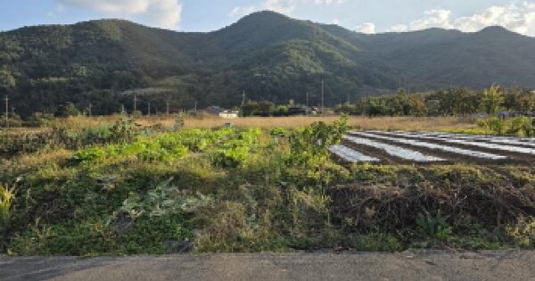 경상북도 청도군 각북면 남산리 685-11 답 경매 물건 이미지