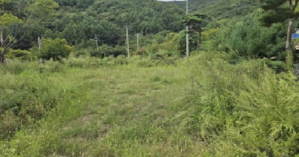 경상북도 경산시 와촌면 대한리 575 전 경매 물건 이미지