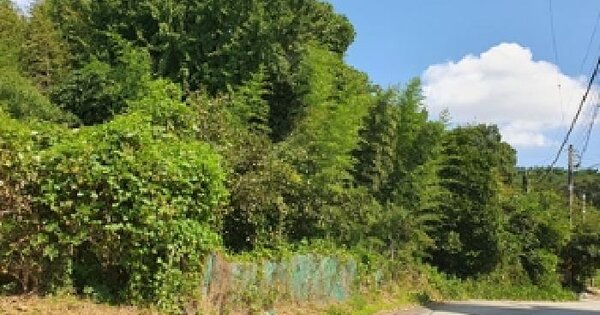 경상남도 김해시 진례면 송현리 1082 대지 경매 물건 이미지
