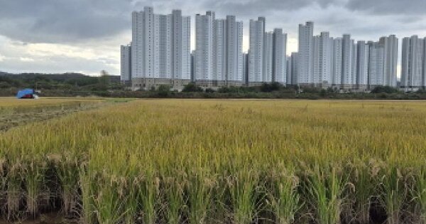 울산광역시 울주군 온양읍 동상리 427 답 경매 물건 이미지